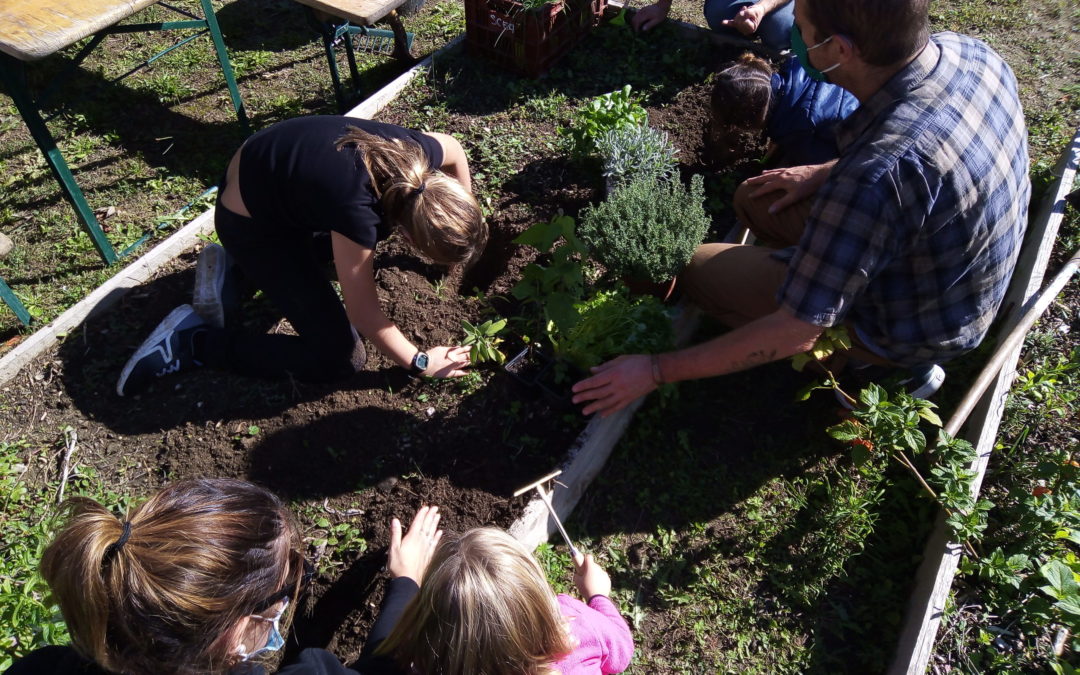 La journée des jardins partagés