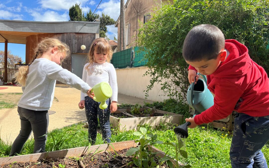 De la Graine à l’assiette, de l’éducation positive à l’environnement