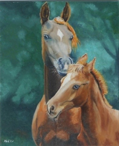 Les expos du 1er trimestre