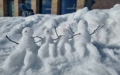 Le retour de la sortie “neige”