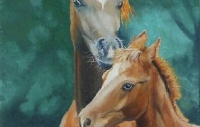 Les expos du 1er trimestre