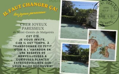 À la découverte du vivant : quand les enfants font grandir leur propre réserve naturelle.